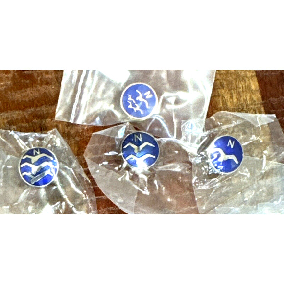 Soaring Society of America Glider Hobbs NM Training Program Badge Lapel Pins Lot - Picture 1 of 5